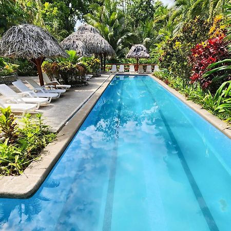 Bluff Beach Retreat Bocas Town Dış mekan fotoğraf