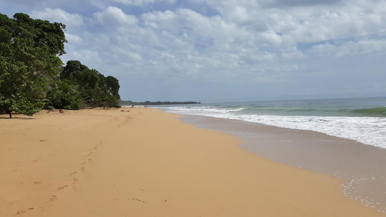 Bluff Beach Retreat Bocas Town Dış mekan fotoğraf