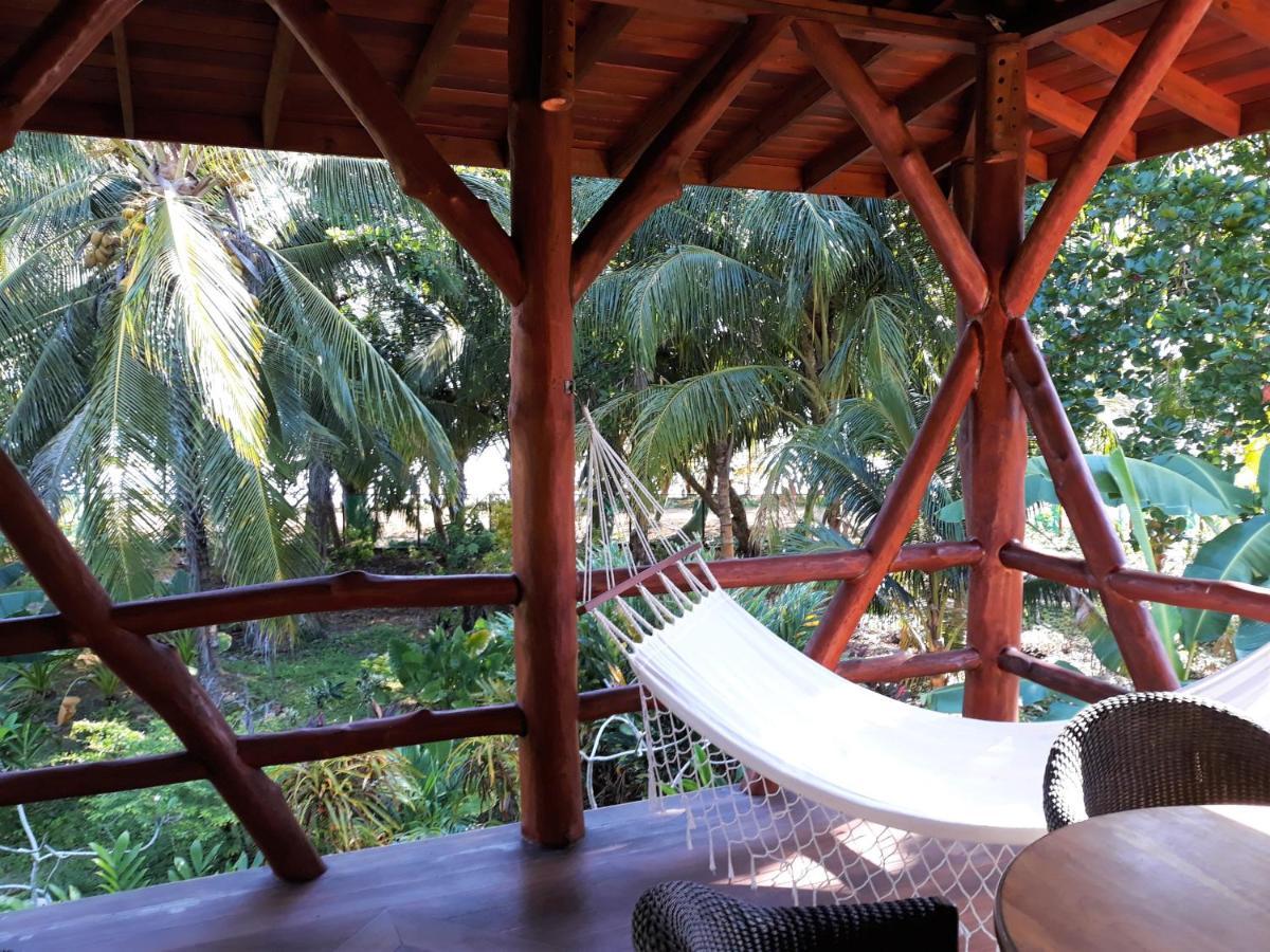 Bluff Beach Retreat Bocas Town Dış mekan fotoğraf