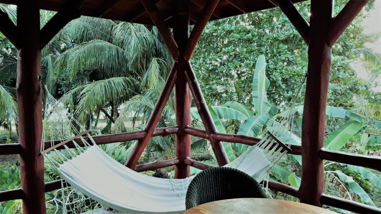 Bluff Beach Retreat Bocas Town Dış mekan fotoğraf