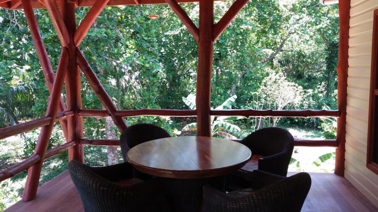 Bluff Beach Retreat Bocas Town Dış mekan fotoğraf