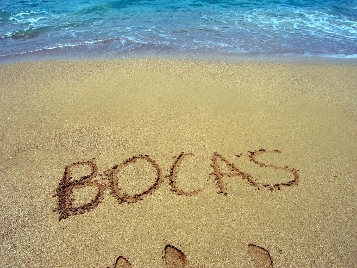 Bluff Beach Retreat Bocas Town Dış mekan fotoğraf