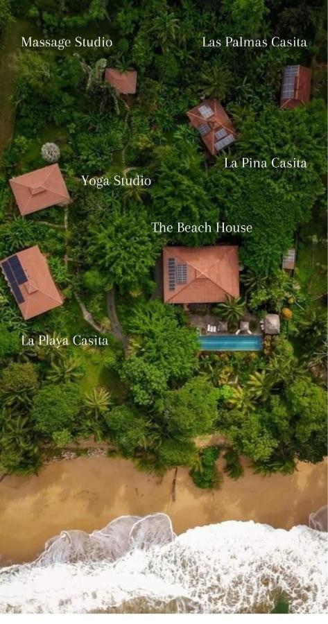 Bluff Beach Retreat Bocas Town Dış mekan fotoğraf