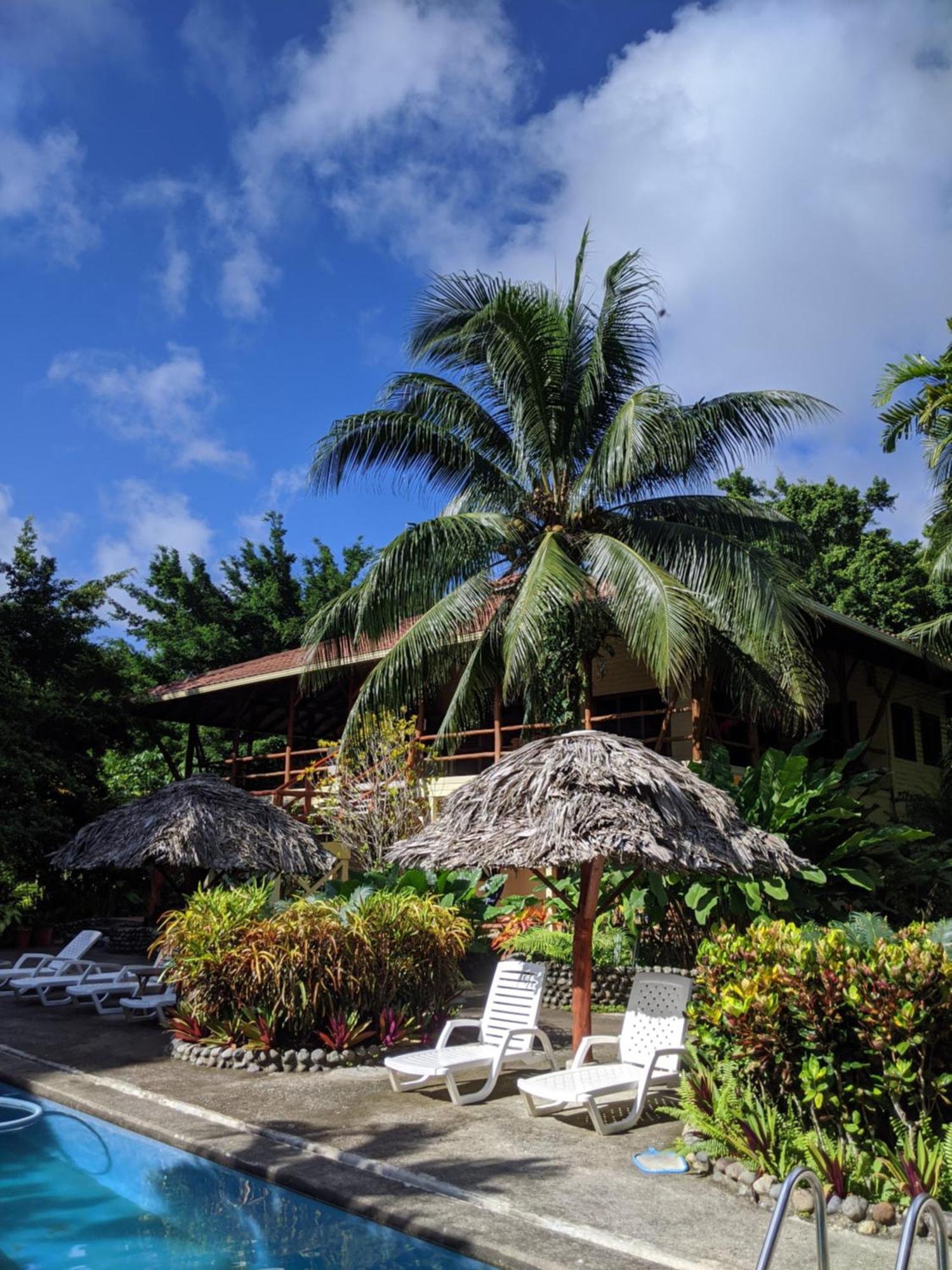 Bluff Beach Retreat Bocas Town Dış mekan fotoğraf