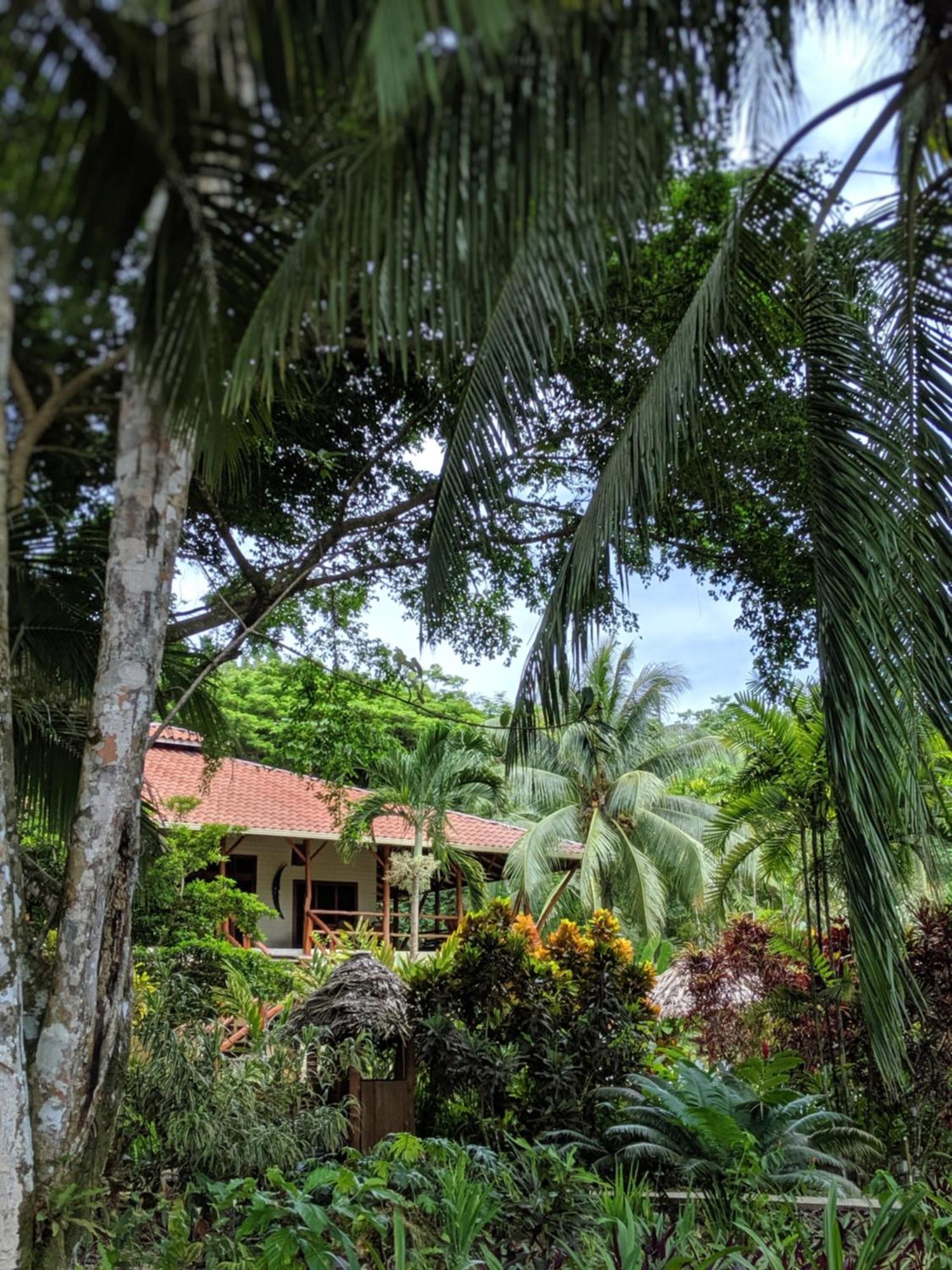 Bluff Beach Retreat Bocas Town Dış mekan fotoğraf