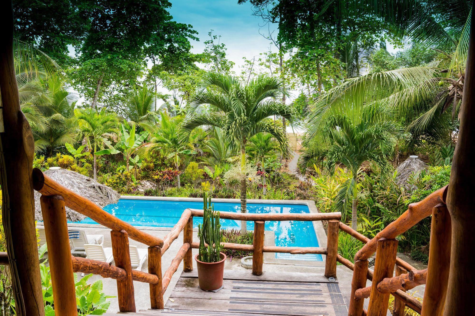 Bluff Beach Retreat Bocas Town Dış mekan fotoğraf