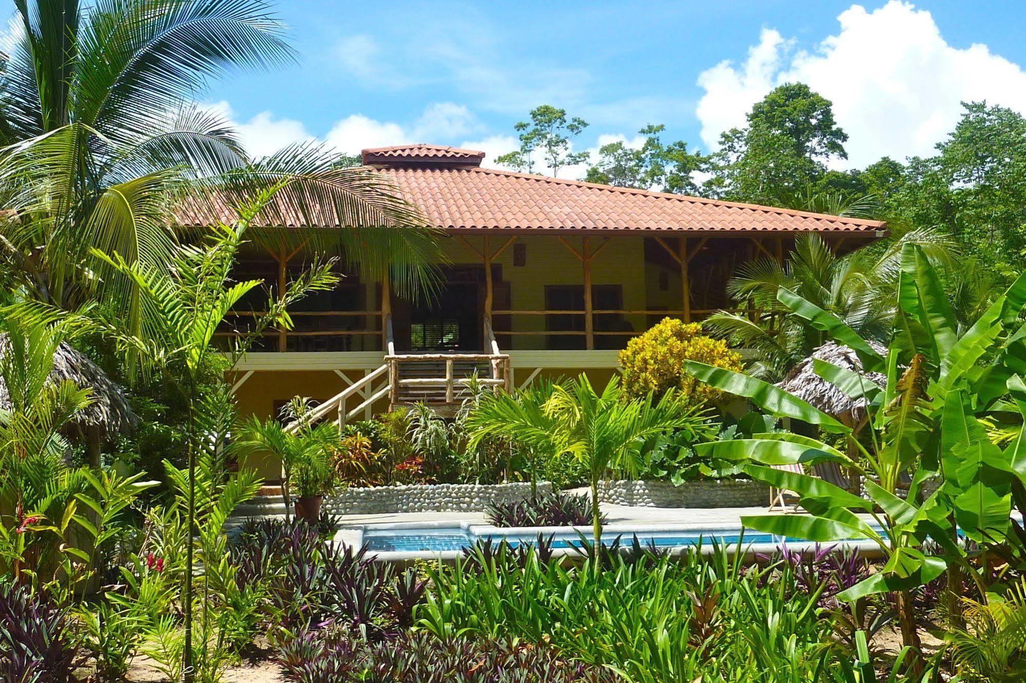 Bluff Beach Retreat Bocas Town Dış mekan fotoğraf