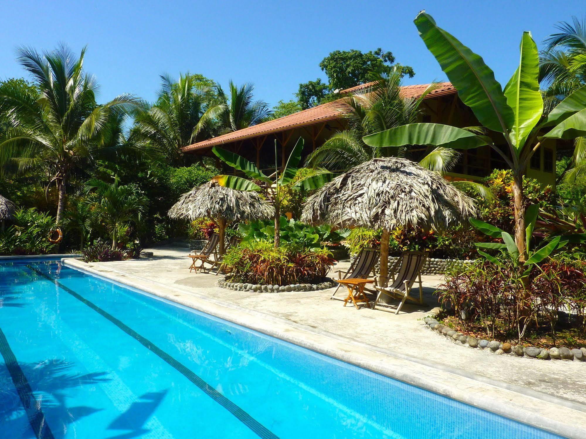 Bluff Beach Retreat Bocas Town Dış mekan fotoğraf