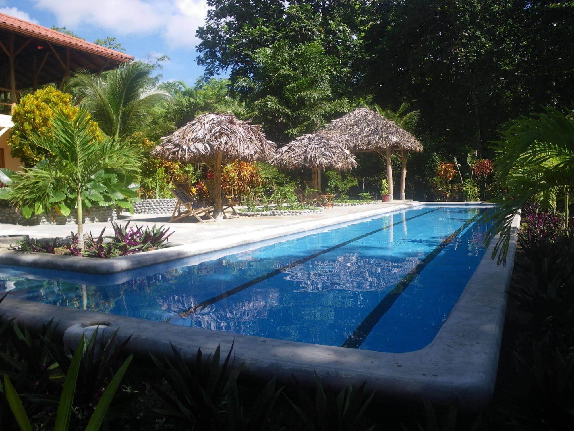 Bluff Beach Retreat Bocas Town Dış mekan fotoğraf