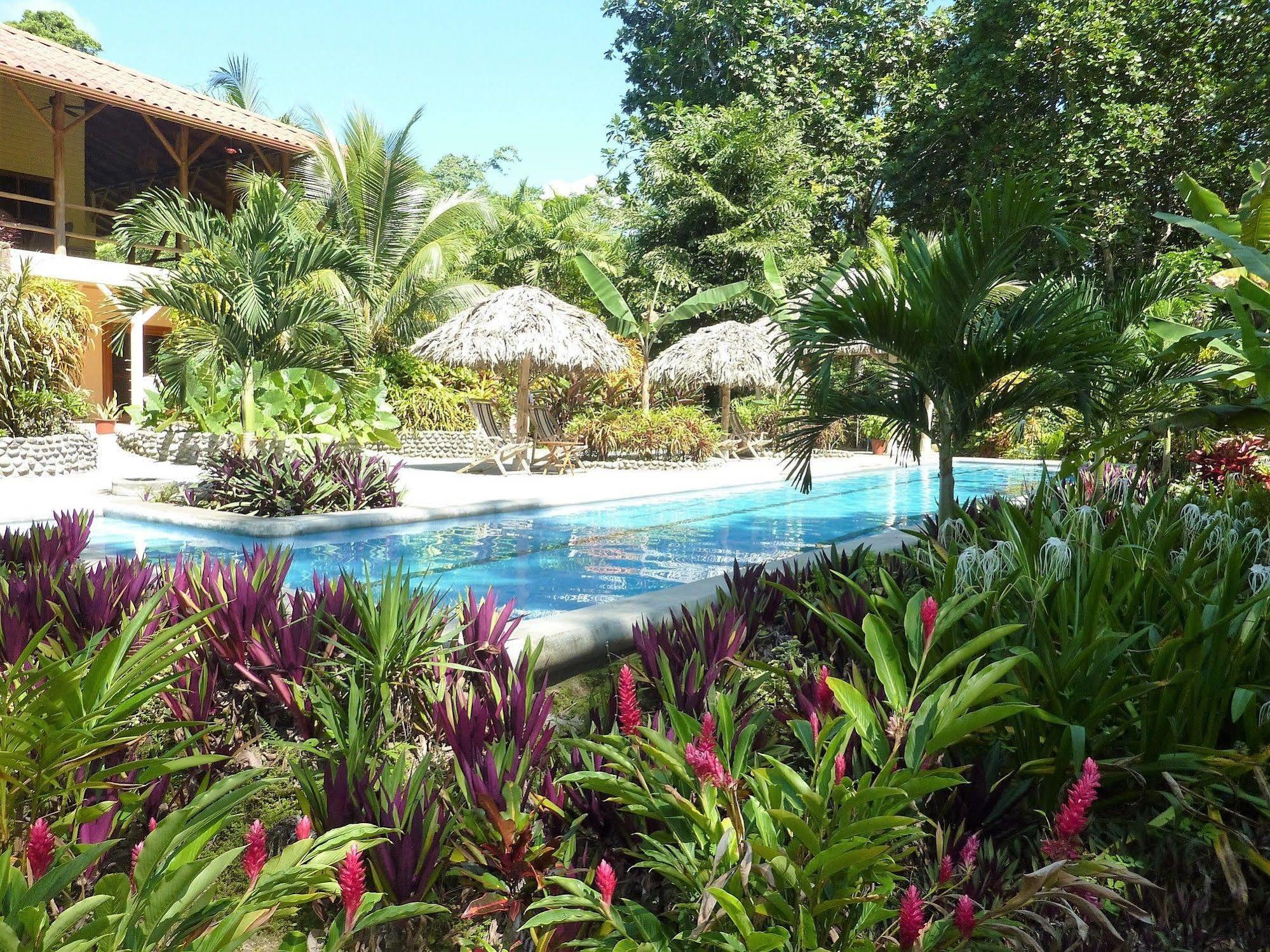 Bluff Beach Retreat Bocas Town Dış mekan fotoğraf