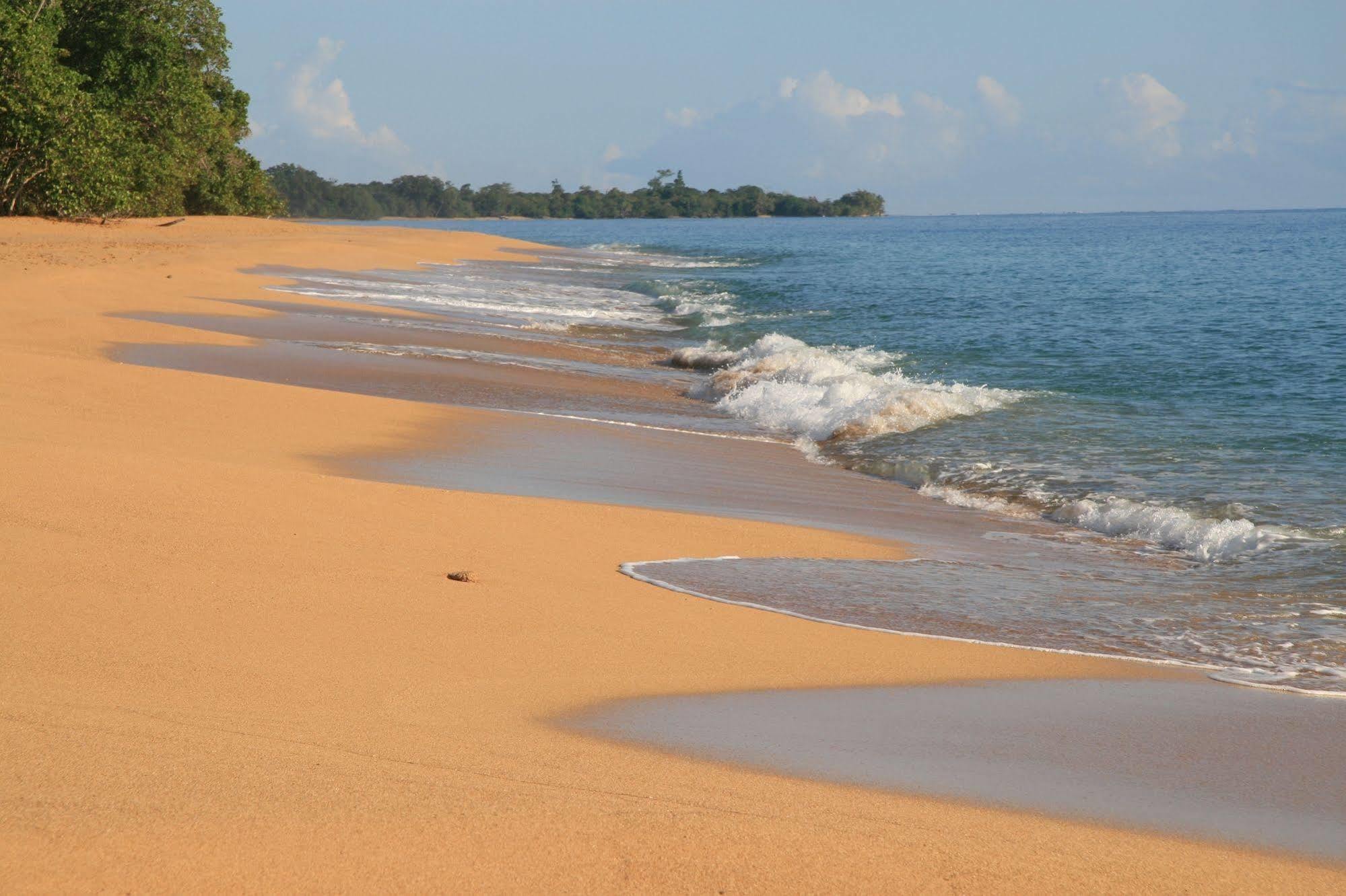 Bluff Beach Retreat Bocas Town Dış mekan fotoğraf