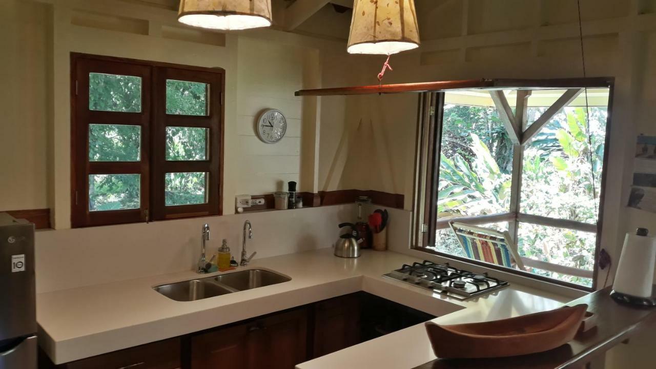Bluff Beach Retreat Bocas Town Dış mekan fotoğraf